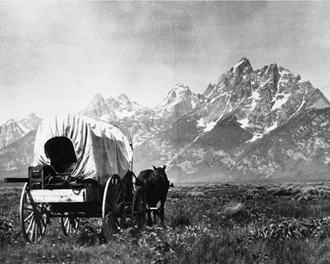 Covered Wagons and Tetons
